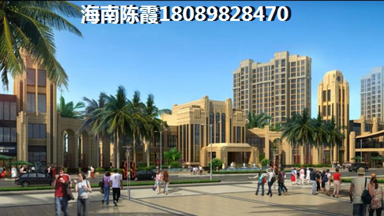 海南XG政策