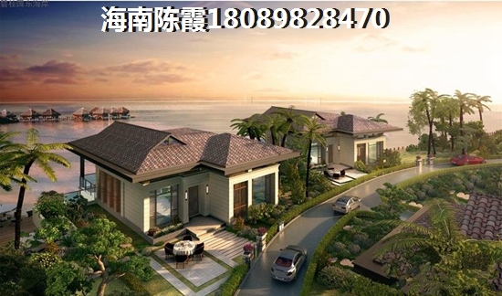 五指山XG政策