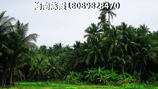 鴻悅公館房價