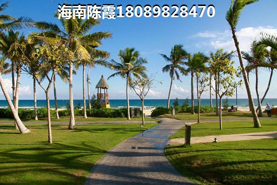 金泰南燕灣生紙因素分析