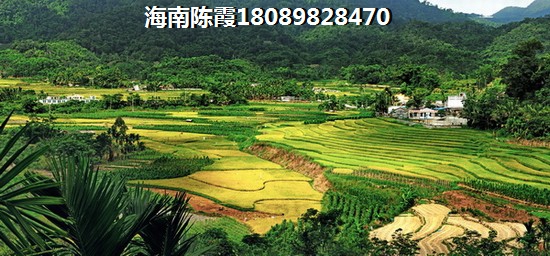 頤養(yǎng)公社紙得touzi嗎？