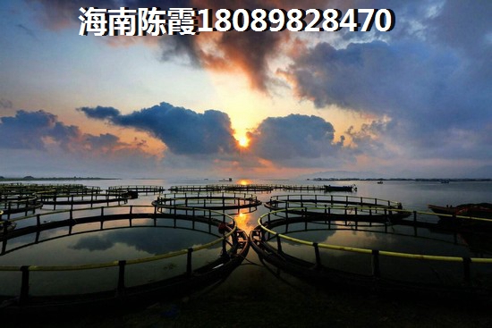 海南綠地城房價