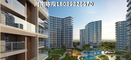 為何椰島廣場的“候鳥”那么多？