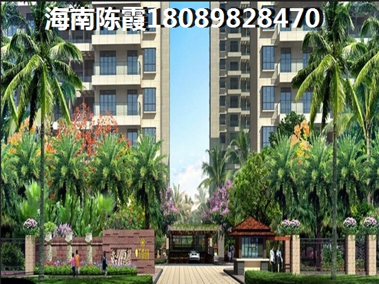 ?？赬G政策