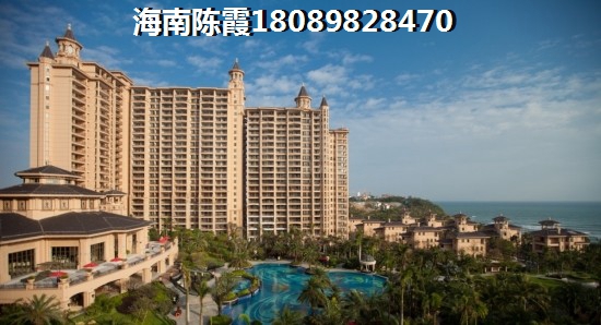 海南將來什么有前景3