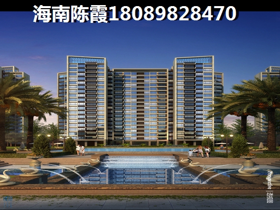 椰島廣場為什么倍受候鳥追捧？