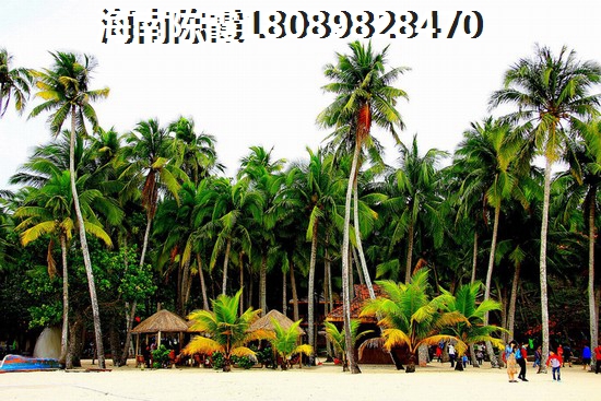 海南文昌清瀾房?jī)r(jià)（海南文昌清瀾哪兒買(mǎi)房養(yǎng)老好）