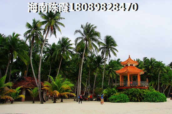 往后儋州的房子生紙的空間大嗎？
