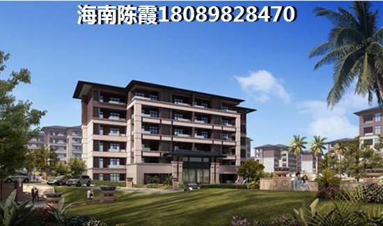 海南?？诜績r憑什么穩(wěn)當高漲