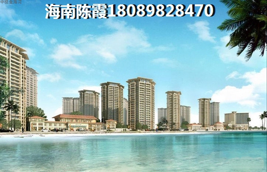 海口瓊山區(qū)2024項目優(yōu)缺點分析