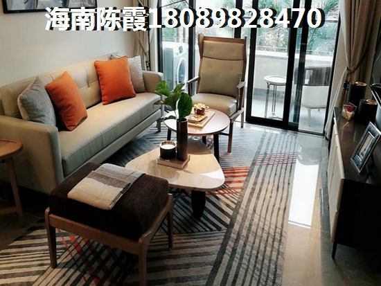 為什么海南2024發(fā)展前景會(huì)很高