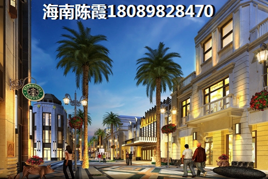 碧桂園興隆湖畔買房定金可以退嗎，海南萬寧房子不想買了