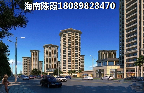 海南哪里touzi房子生紙快？