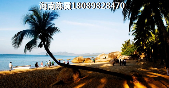 屯昌壹號有什么touzi前景~